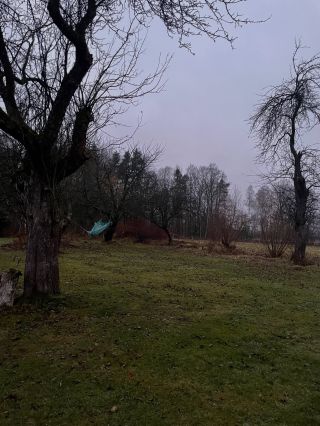 Random sunday pics ✨ (az na to, ze tuhle nedeli vubec). 1. Posledni rano na retreatu v @zastavka.oborice 💓 Vstala jsem...